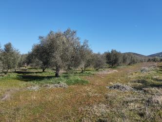 finca rústica en porzuna