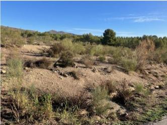 finca rústica en calasparra