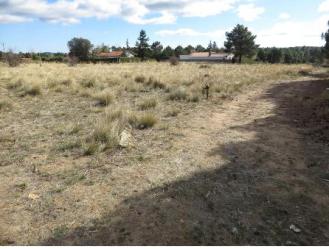 finca rústica en navalperal de pinares
