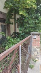 local comercial en roda de ter