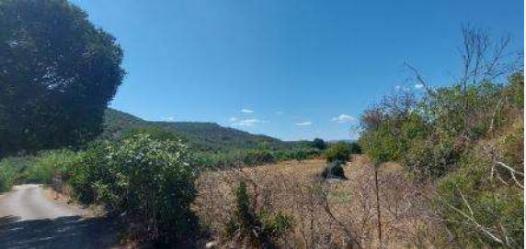 finca rústica en beas de segura