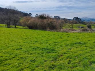 finca rústica en santillana del mar