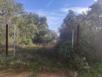 finca rústica en huevar