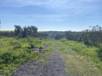 finca rústica en bormujos