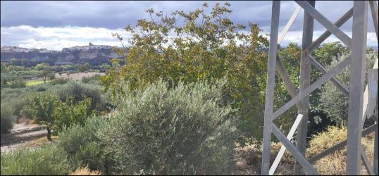 finca rústica en benamaurel