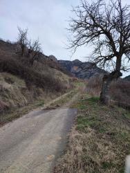finca rústica en beranuy