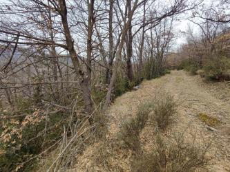 finca rústica en beranuy