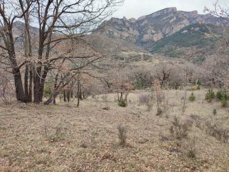 finca rústica en beranuy
