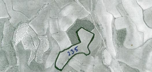 finca rústica en fitero