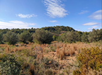 finca rústica en olocau