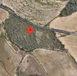 finca rústica en sant esteve sesrovires