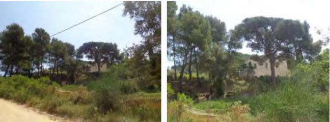 finca rústica en vallromanes