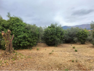 solar en jarandilla de la vera