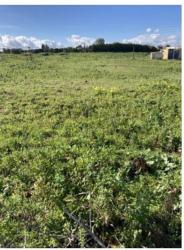 solar en villanueva del ariscal