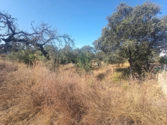 finca rústica en el ronquillo