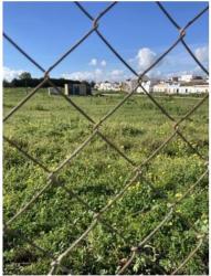 solar en villanueva del ariscal