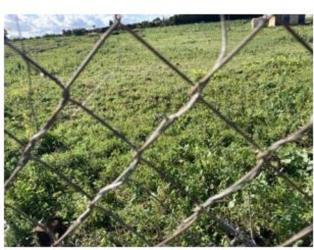 solar en villanueva del ariscal