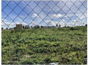 solar en villanueva del ariscal