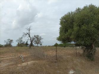 solar en jerez de la frontera