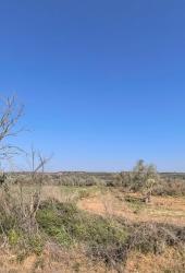 finca rústica en niebla