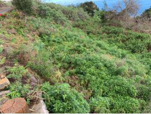 finca rústica en villa de mazo