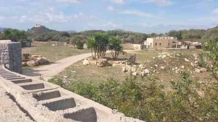 finca rústica en arta