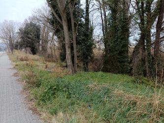 solar en sant feliu de buixalleu