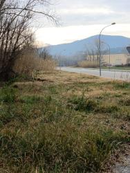 solar en sant feliu de buixalleu