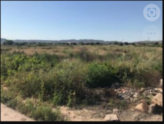 finca rústica en monforte del cid