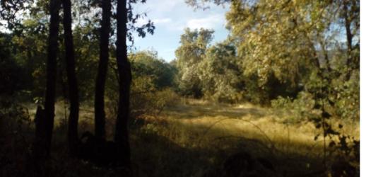 finca rústica en hervas