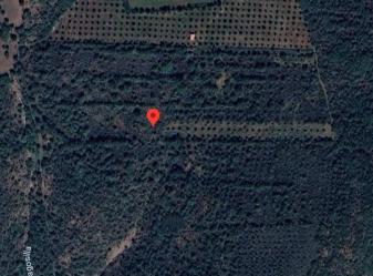 finca rústica en puerto de santa cruz