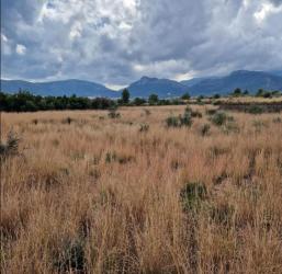 finca rústica en tormos