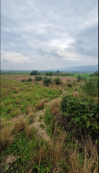 finca rústica en tormos