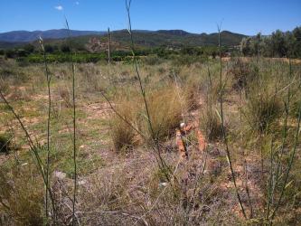 finca rústica en bugarra
