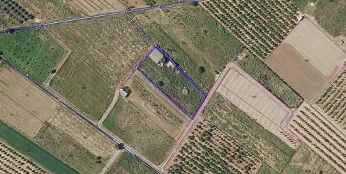 finca rústica en sagunt/sagunto