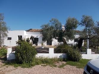 finca rústica en montoro