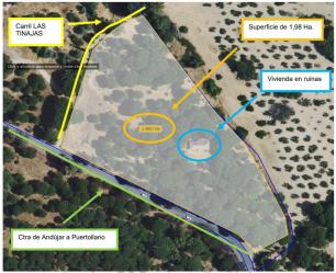 finca rústica en andujar