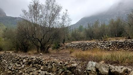 finca rústica en barx