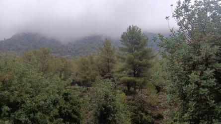 finca rústica en barx