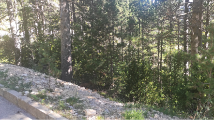 solar en la coma i la pedra