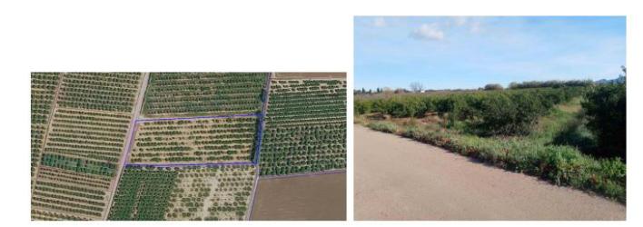 finca rústica en alzira