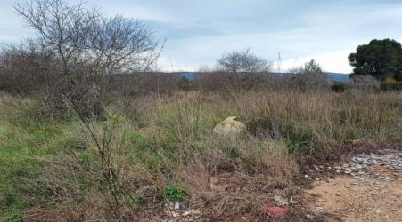 finca rústica en alzira