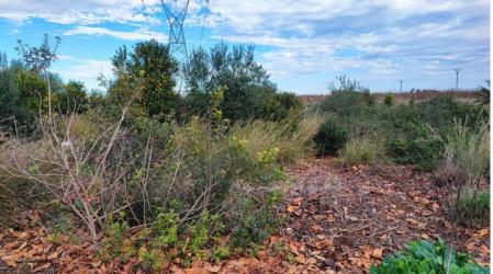 finca rústica en alzira