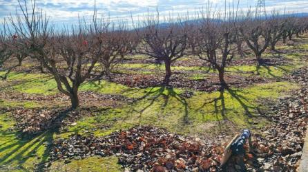 finca rústica en alzira