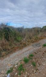 finca rústica en borriana/burriana