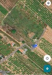 finca rústica en borriana/burriana