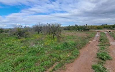 finca rústica en borriana/burriana