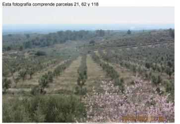 finca rústica en tortosa