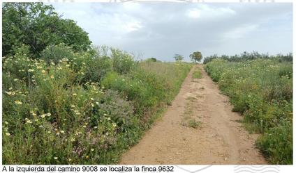 finca rústica en bollullos de la mitacion