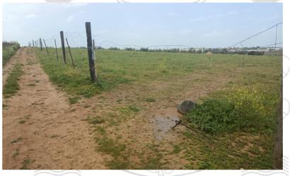 finca rústica en bollullos de la mitacion